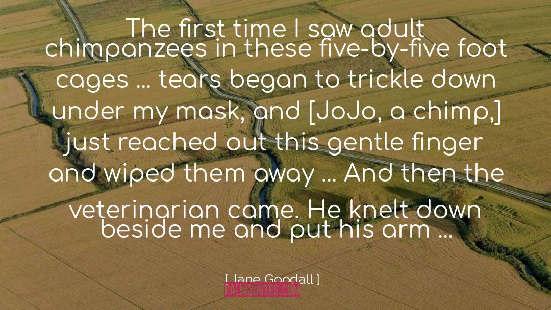 Jane Goodall Quotes: The first time I saw