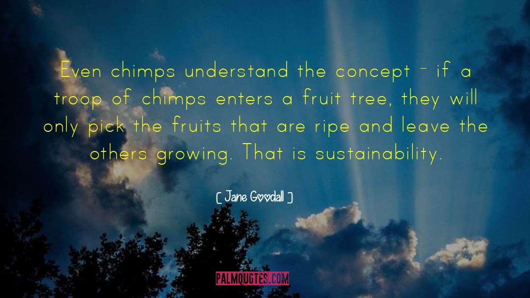 Jane Goodall Quotes: Even chimps understand the concept