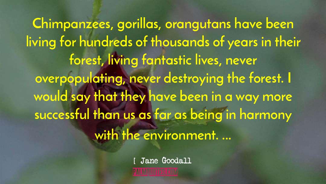 Jane Goodall Quotes: Chimpanzees, gorillas, orangutans have been