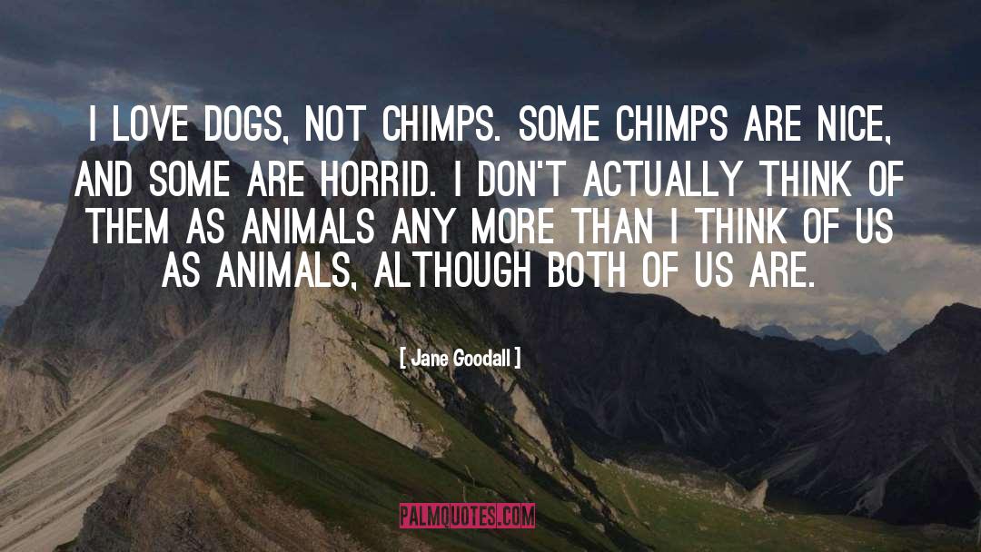 Jane Goodall Quotes: I love dogs, not chimps.