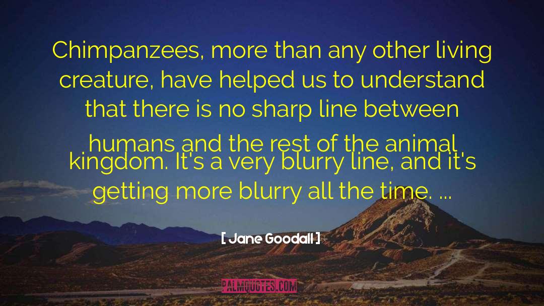 Jane Goodall Quotes: Chimpanzees, more than any other