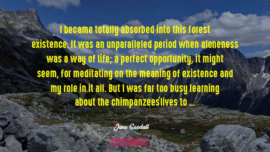 Jane Goodall Quotes: I became totally absorbed into