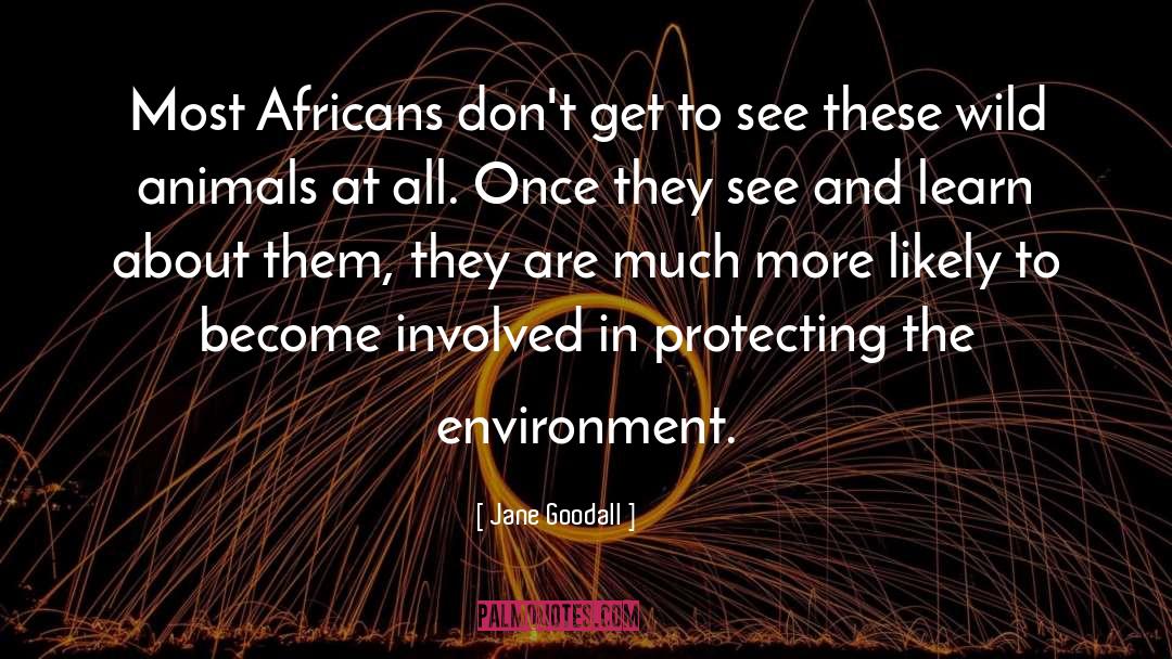 Jane Goodall Quotes: Most Africans don't get to