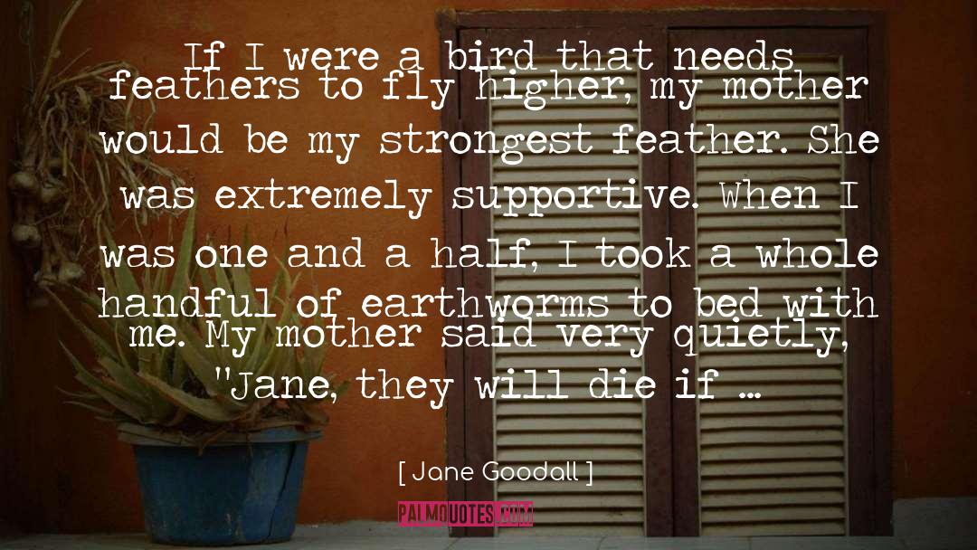 Jane Goodall Quotes: If I were a bird