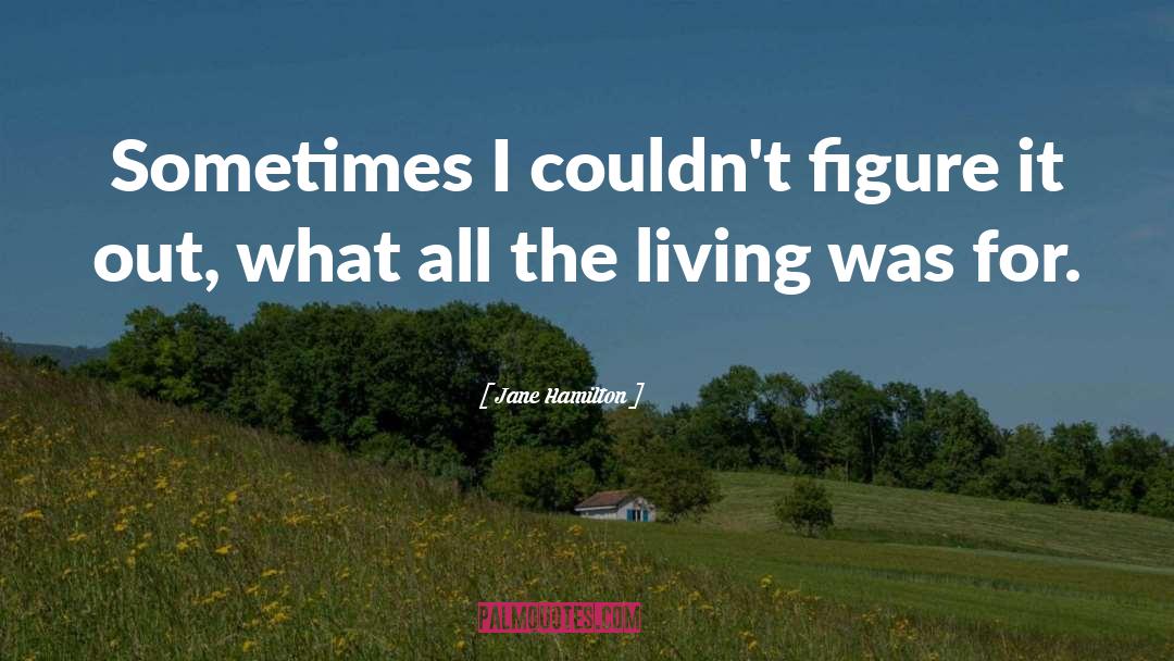 Jane Hamilton Quotes: Sometimes I couldn't figure it