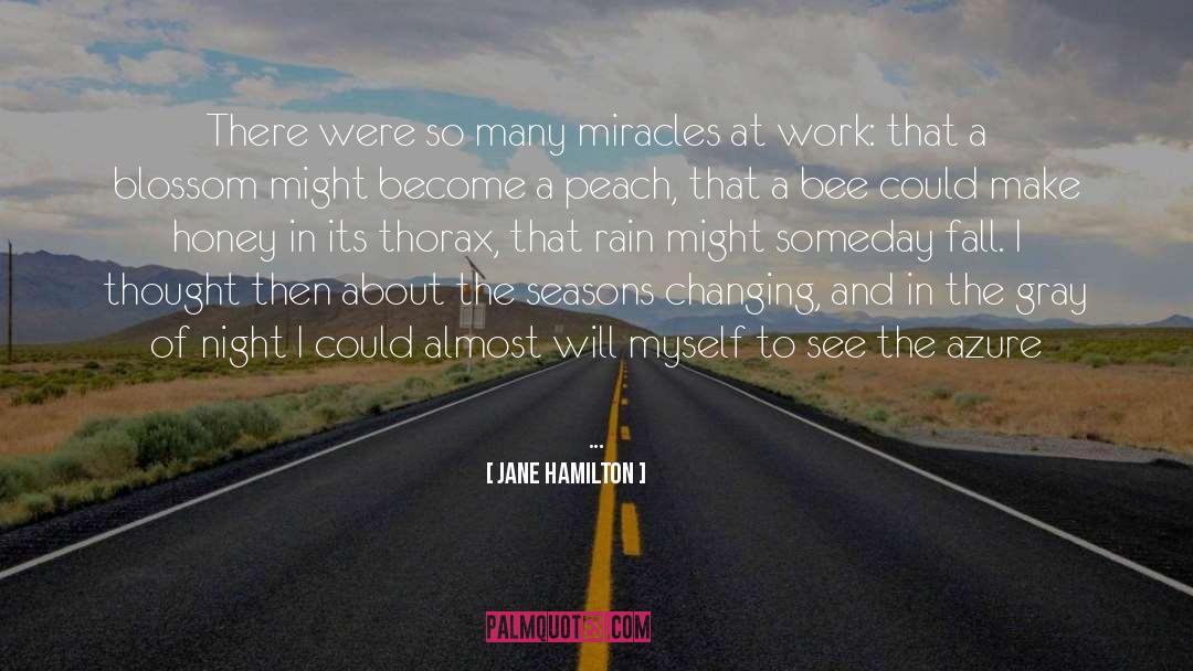 Jane Hamilton Quotes: There were so many miracles