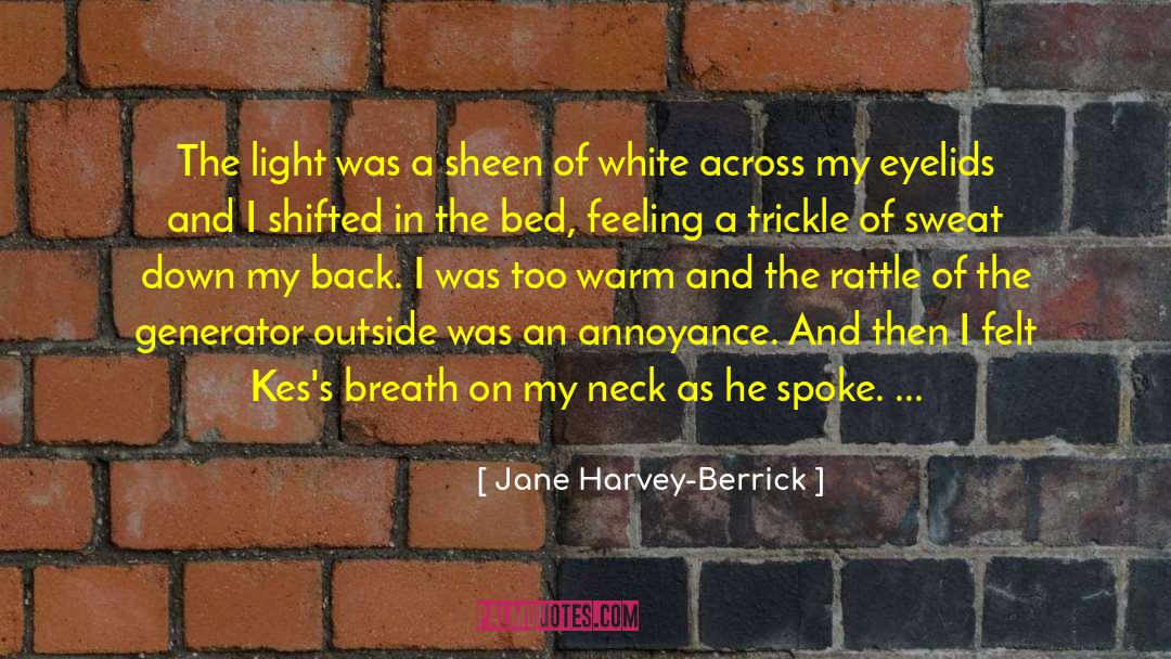 Jane Harvey-Berrick Quotes: The light was a sheen