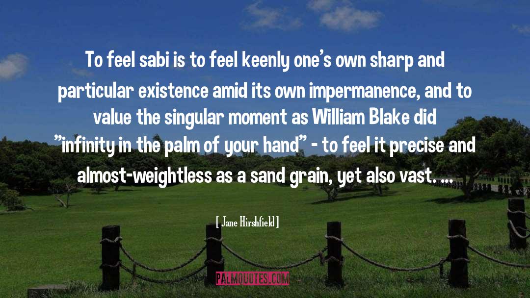 Jane Hirshfield Quotes: To feel sabi is to