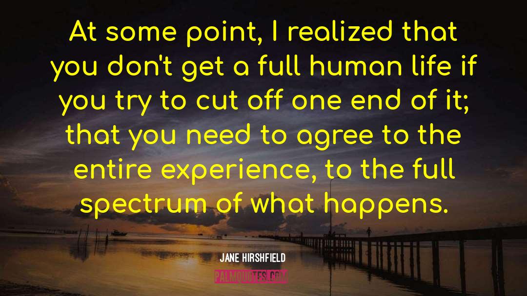 Jane Hirshfield Quotes: At some point, I realized