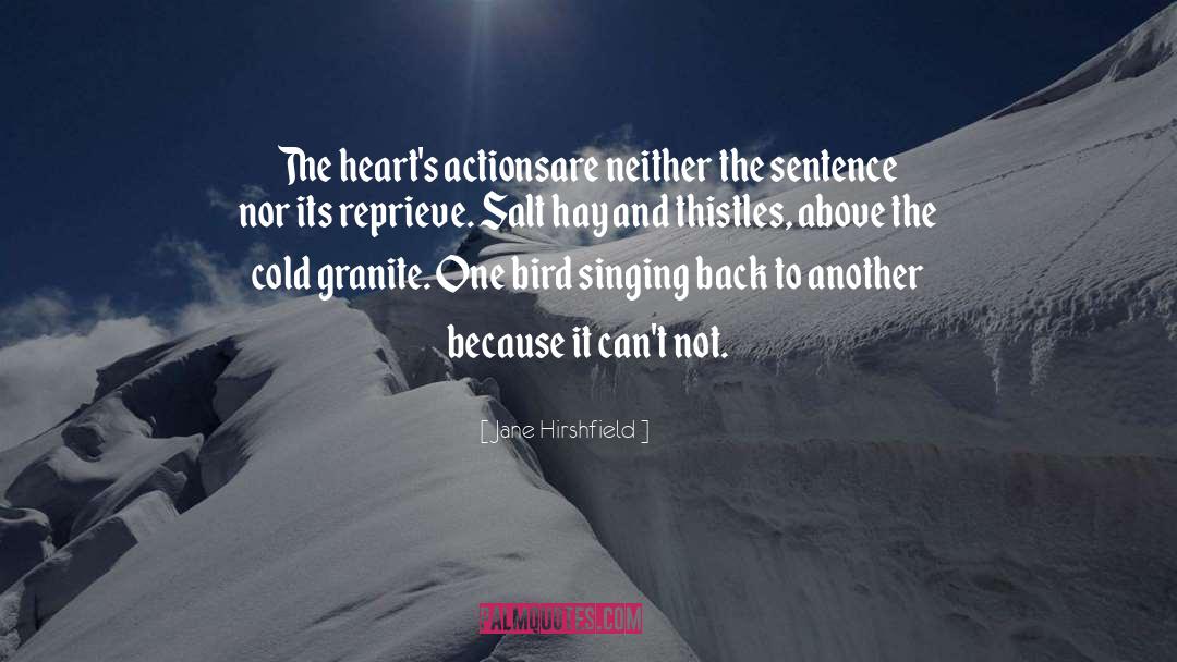 Jane Hirshfield Quotes: The heart's actions<br>are neither the