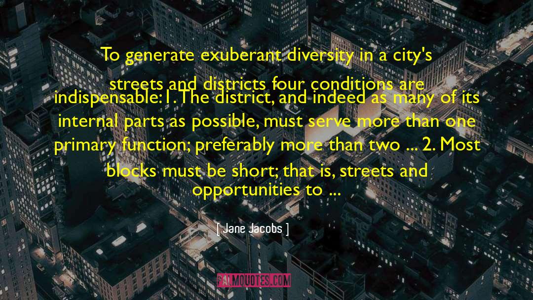 Jane Jacobs Quotes: To generate exuberant diversity in