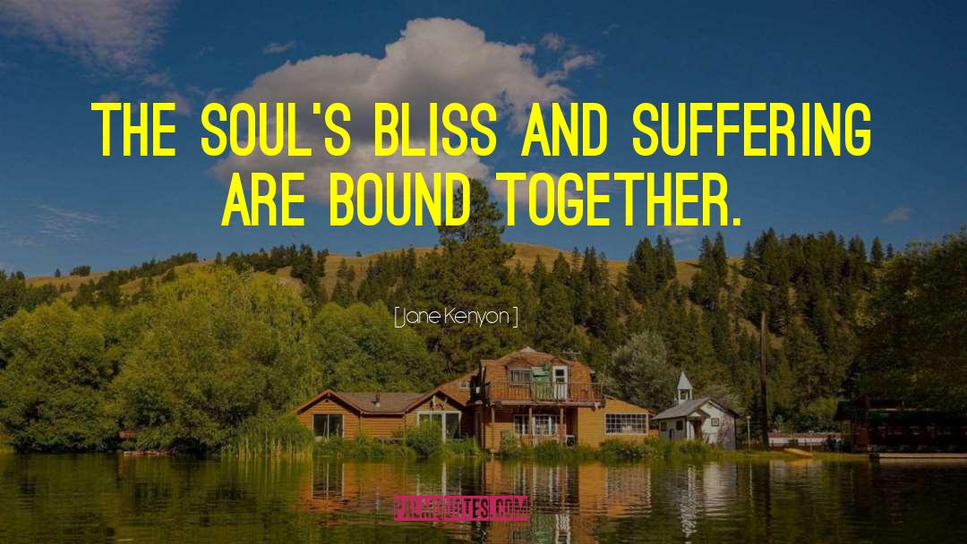 Jane Kenyon Quotes: The soul's bliss and suffering