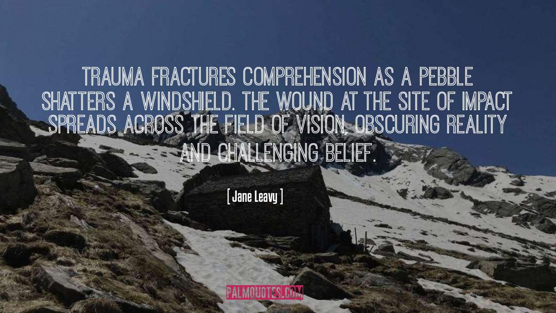 Jane Leavy Quotes: Trauma fractures comprehension as a