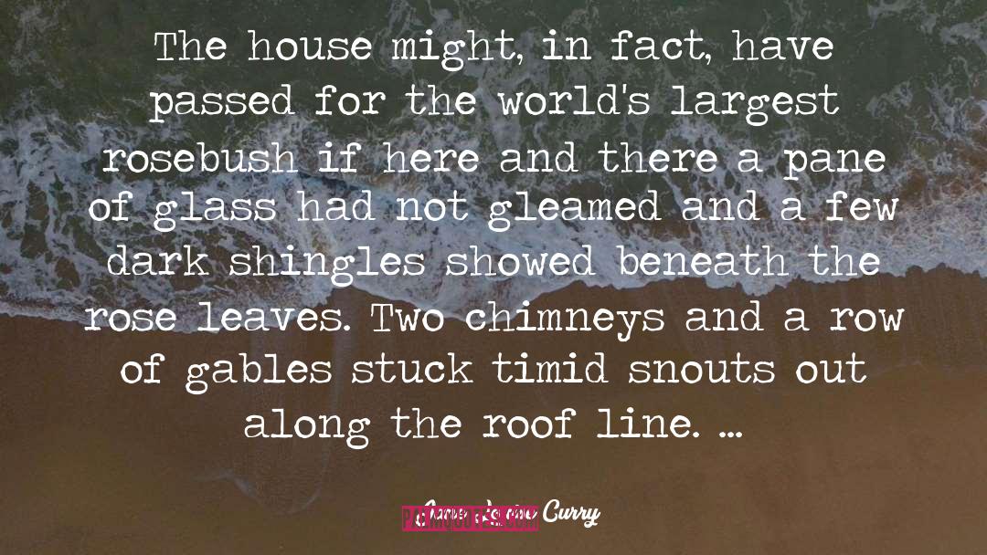 Jane Louise Curry Quotes: The house might, in fact,