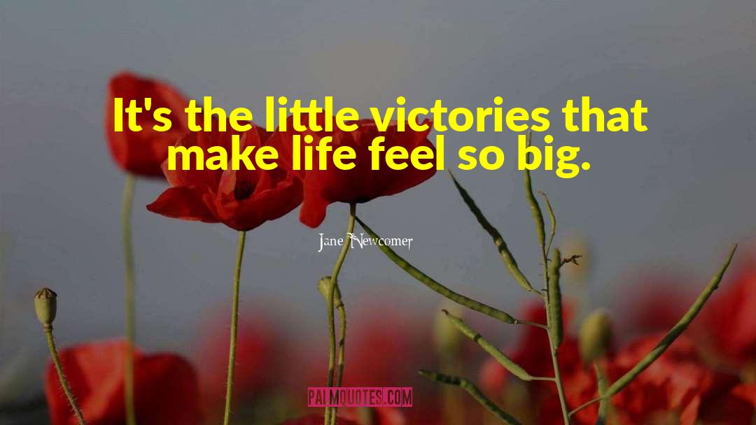 Jane Newcomer Quotes: It's the little victories that