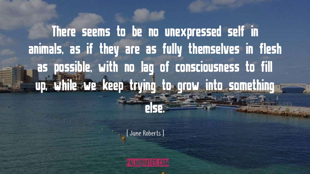 Jane Roberts Quotes: There seems to be no