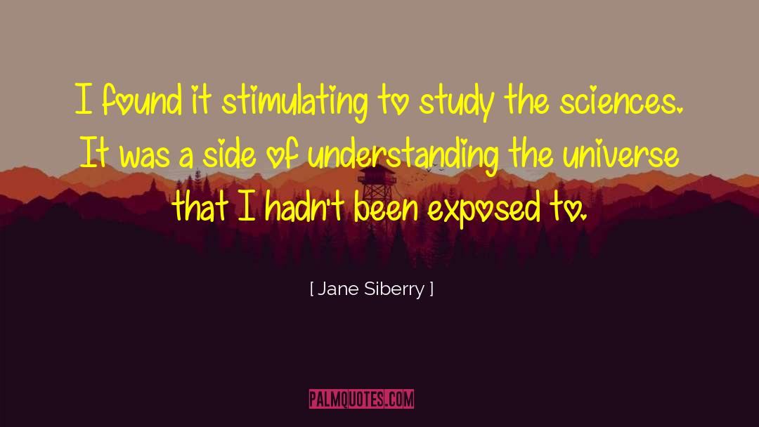 Jane Siberry Quotes: I found it stimulating to