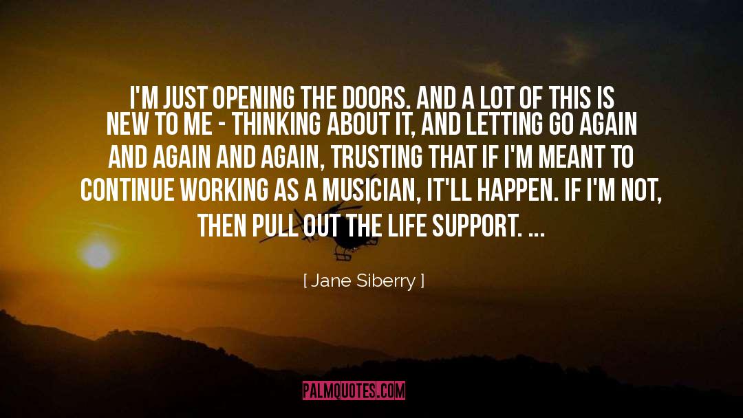 Jane Siberry Quotes: I'm just opening the doors.