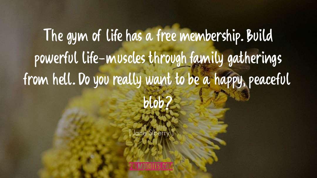 Jane Siberry Quotes: The gym of life has