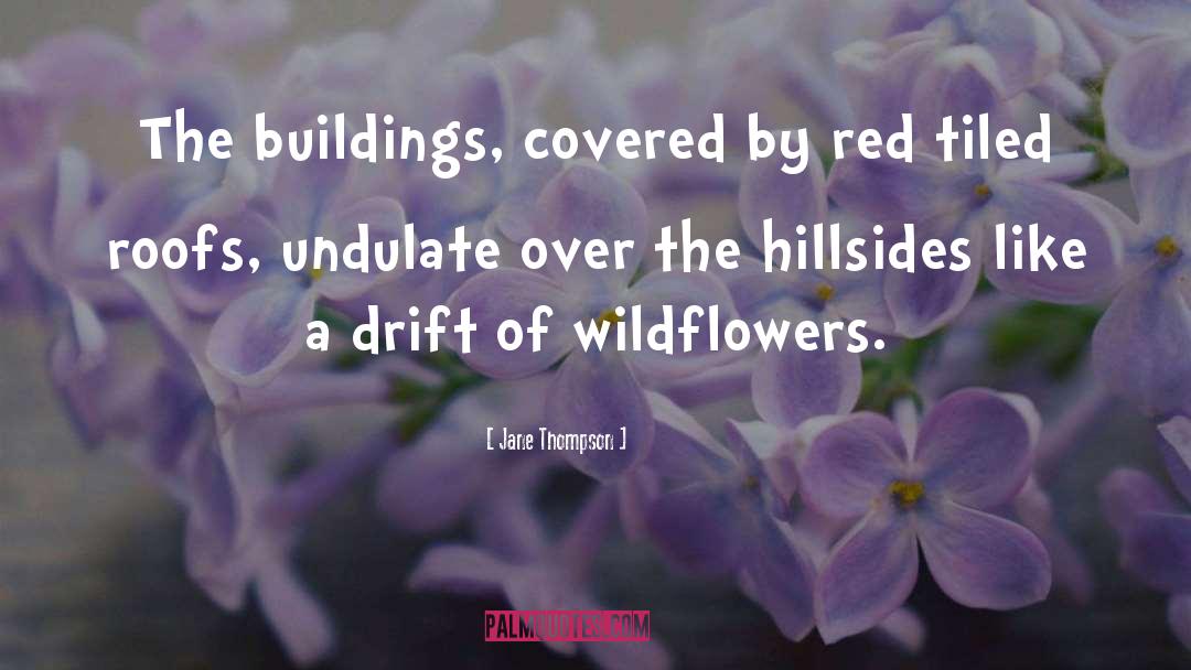 Jane Thompson Quotes: The buildings, covered by red