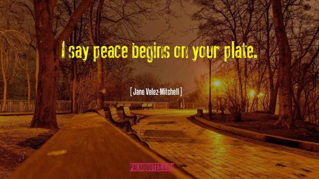 Jane Velez-Mitchell Quotes: I say peace begins on
