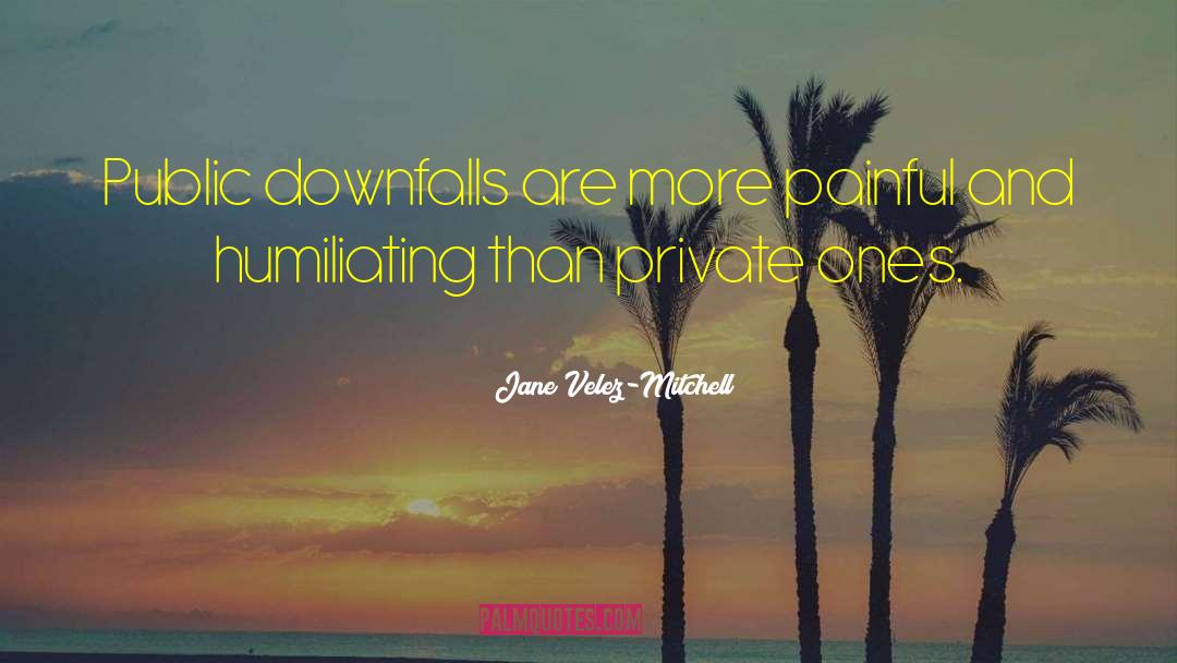Jane Velez-Mitchell Quotes: Public downfalls are more painful