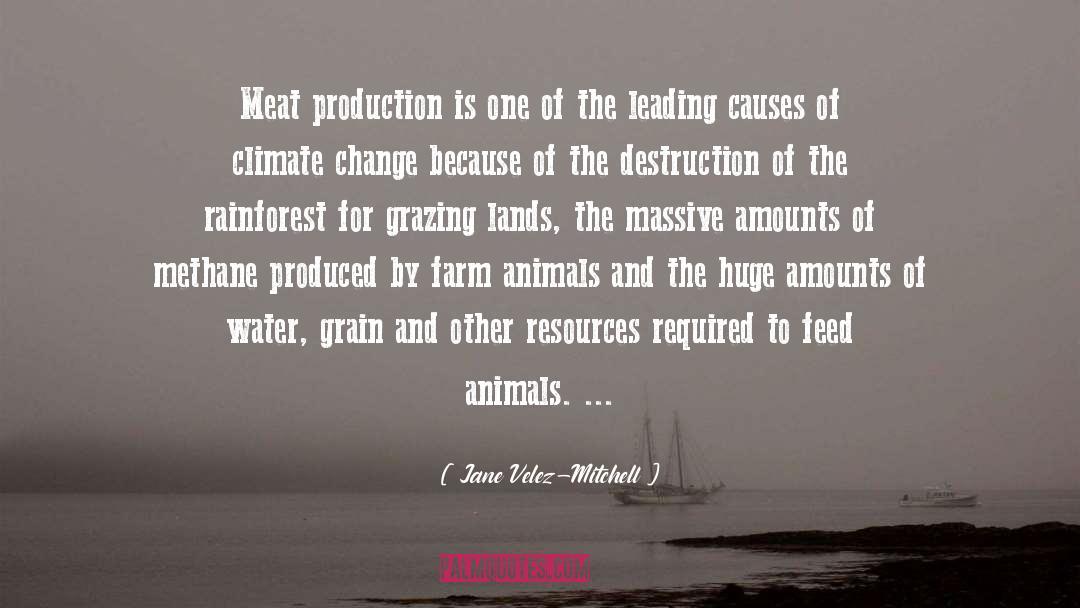 Jane Velez-Mitchell Quotes: Meat production is one of