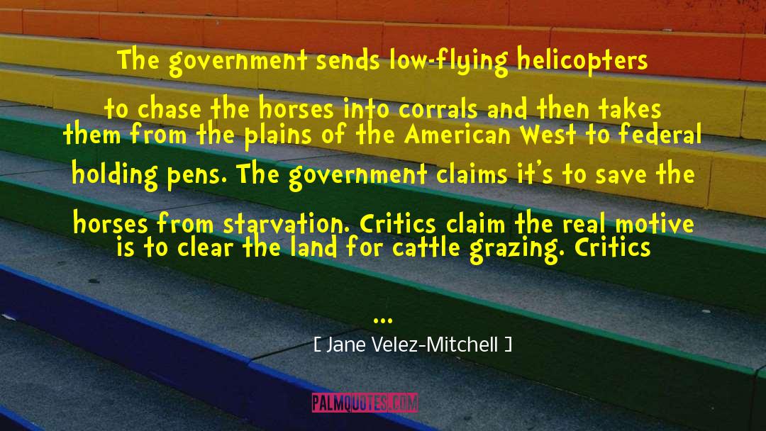 Jane Velez-Mitchell Quotes: The government sends low-flying helicopters