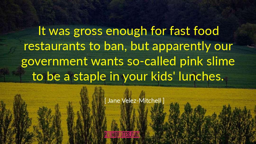 Jane Velez-Mitchell Quotes: It was gross enough for