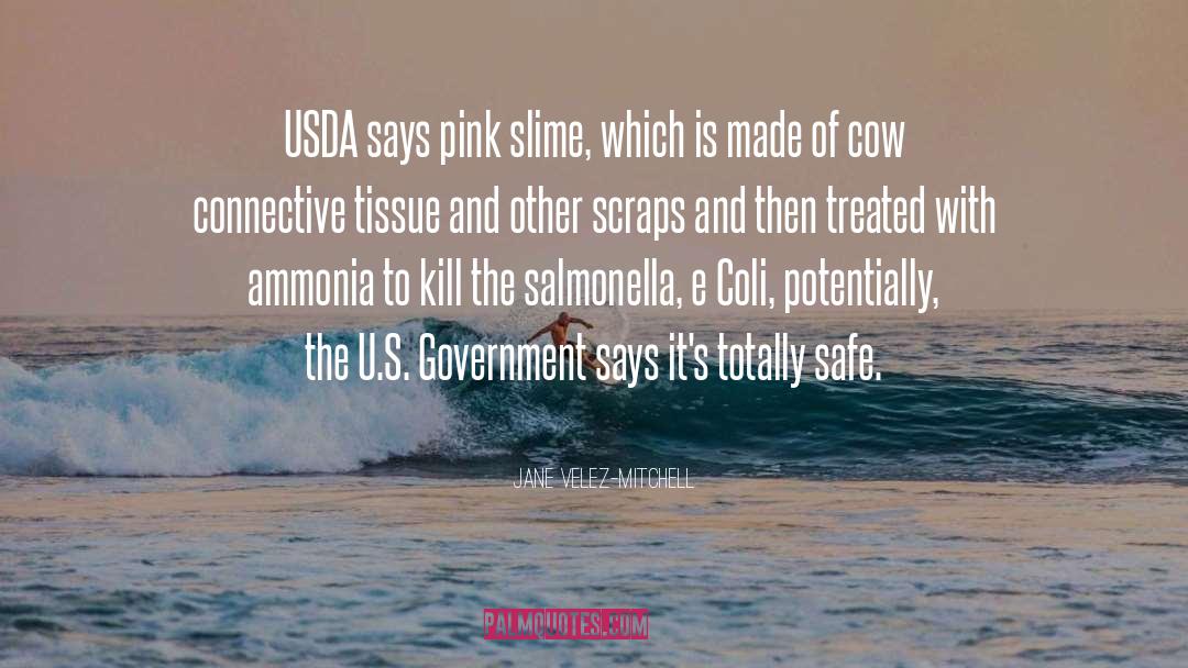 Jane Velez-Mitchell Quotes: USDA says pink slime, which