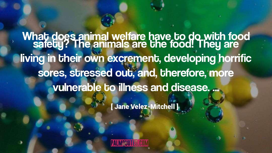 Jane Velez-Mitchell Quotes: What does animal welfare have