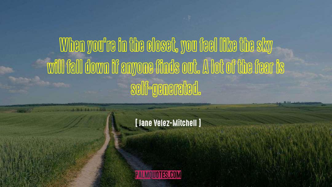 Jane Velez-Mitchell Quotes: When you're in the closet,