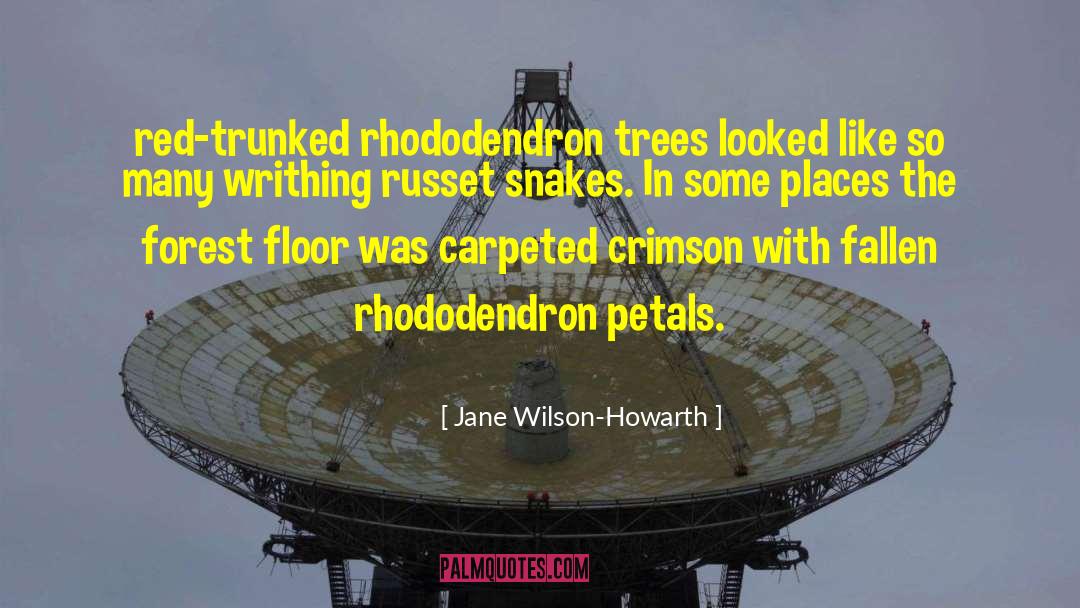 Jane Wilson-Howarth Quotes: red-trunked rhododendron trees looked like