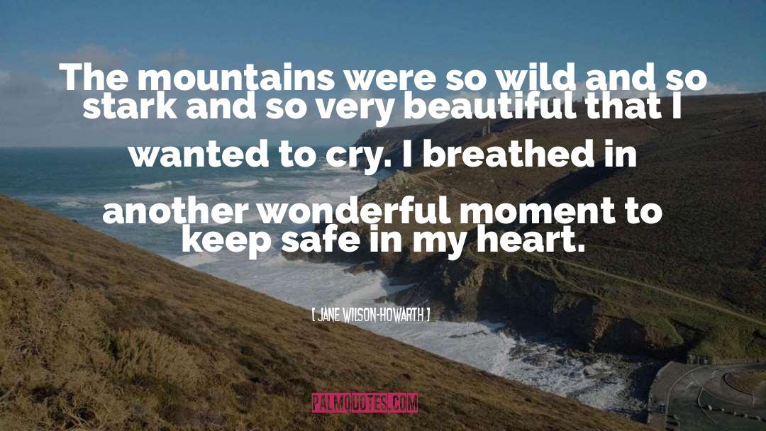 Jane Wilson-Howarth Quotes: The mountains were so wild