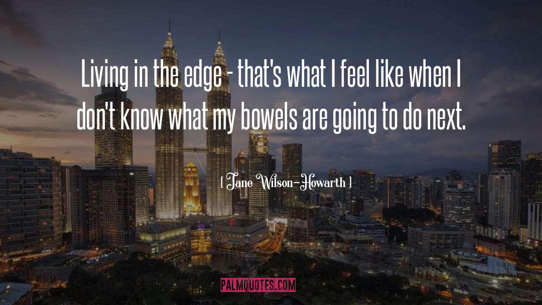 Jane Wilson-Howarth Quotes: Living in the edge -