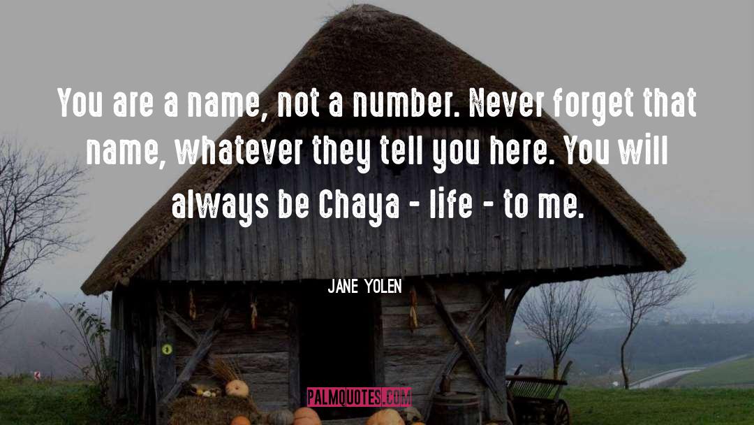 Jane Yolen Quotes: You are a name, not