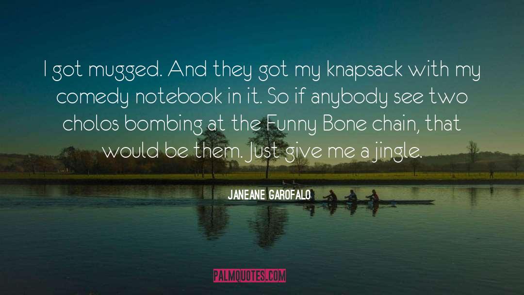Janeane Garofalo Quotes: I got mugged. And they