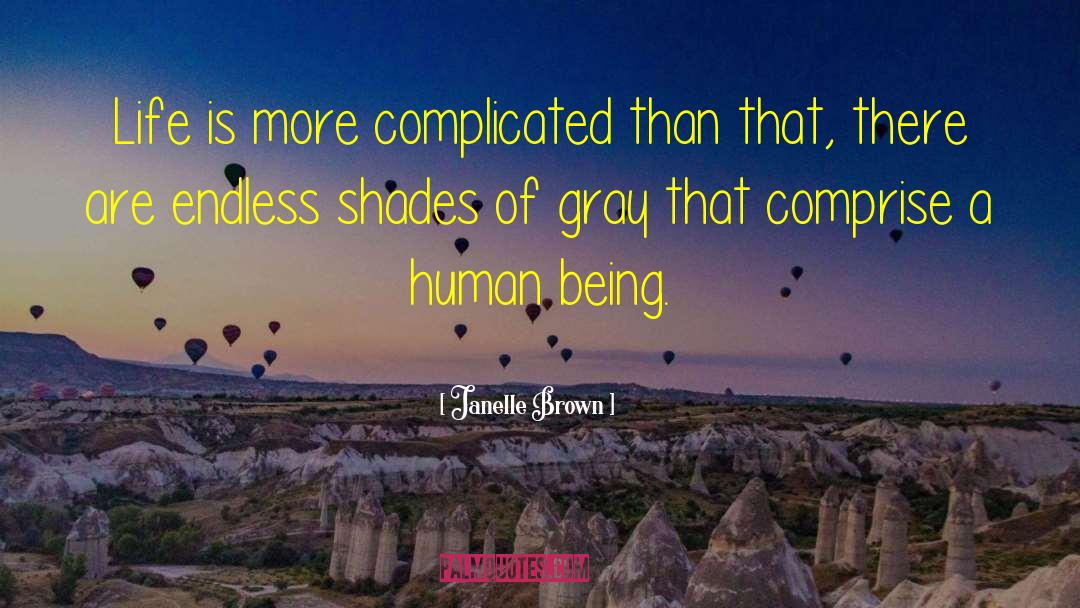 Janelle Brown Quotes: Life is more complicated than