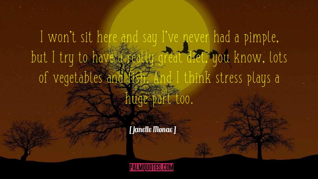 Janelle Monae Quotes: I won't sit here and