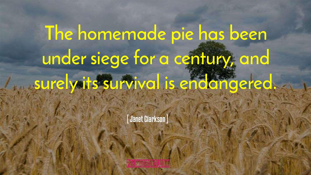 Janet Clarkson Quotes: The homemade pie has been