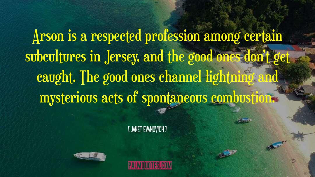Janet Evanovich Quotes: Arson is a respected profession
