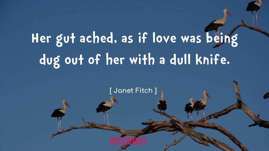 Janet Fitch Quotes: Her gut ached, as if