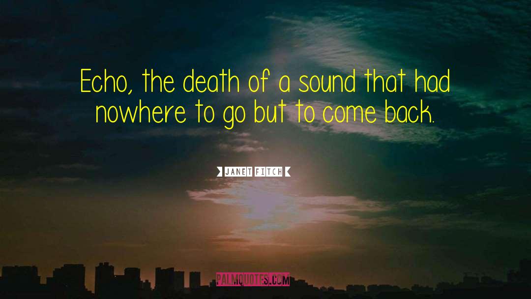 Janet Fitch Quotes: Echo, the death of a