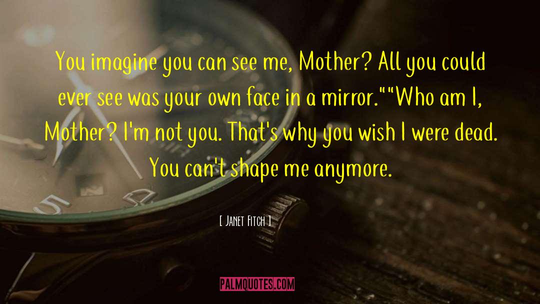 Janet Fitch Quotes: You imagine you can see