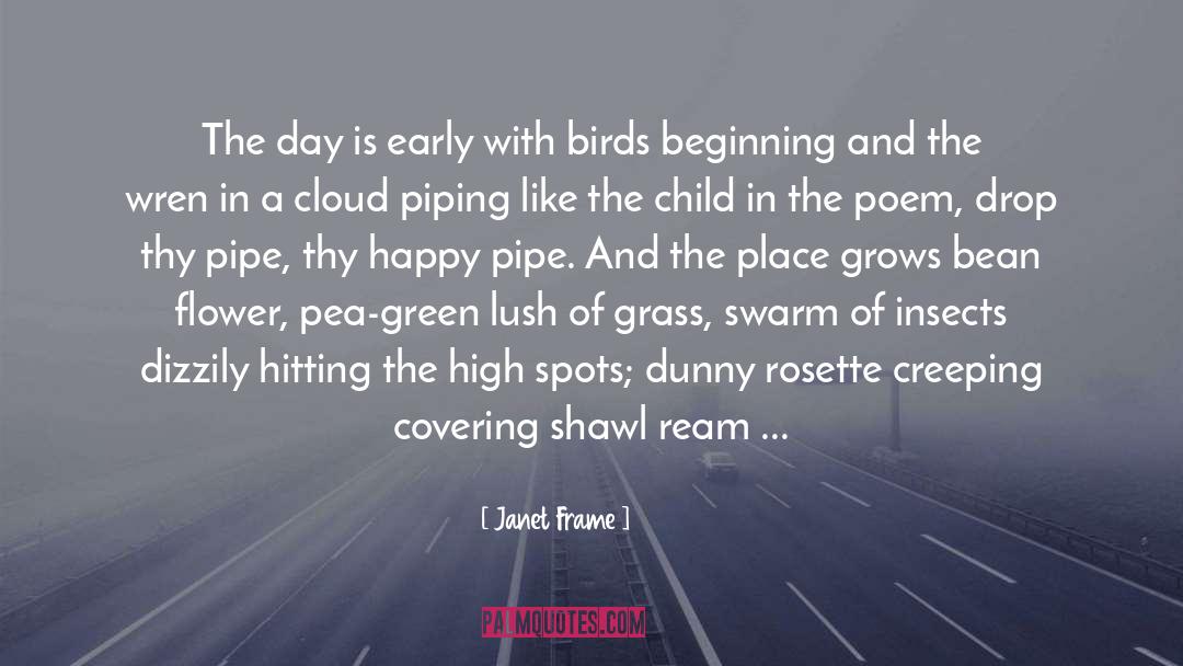 Janet Frame Quotes: The day is early with