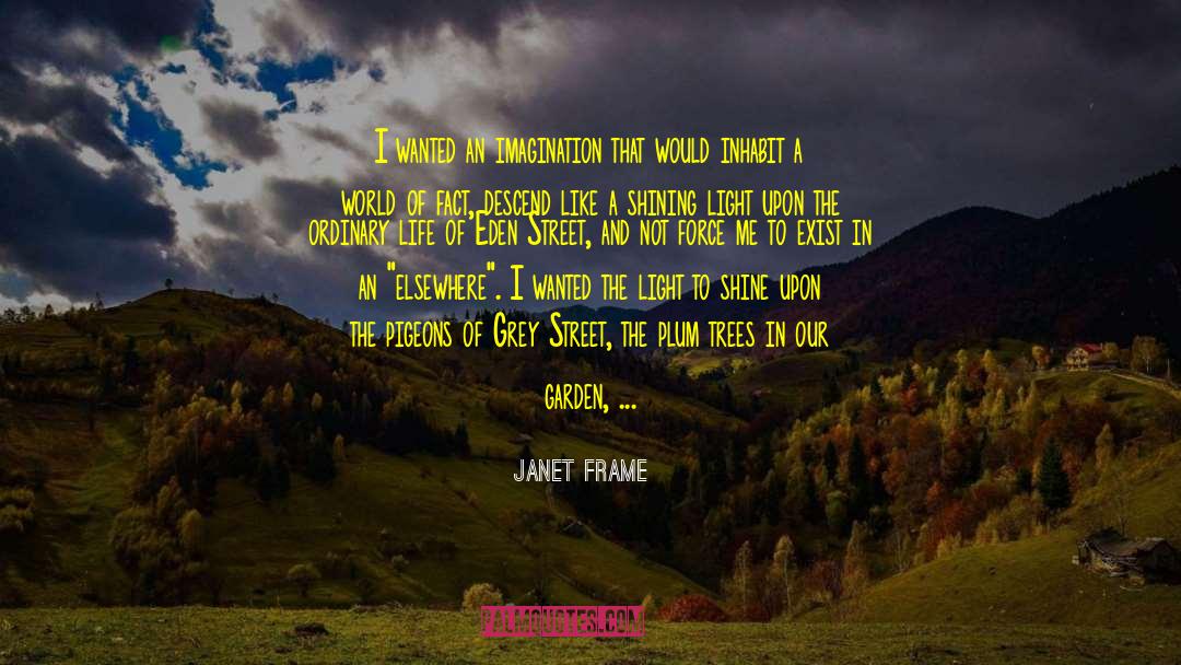 Janet Frame Quotes: I wanted an imagination that