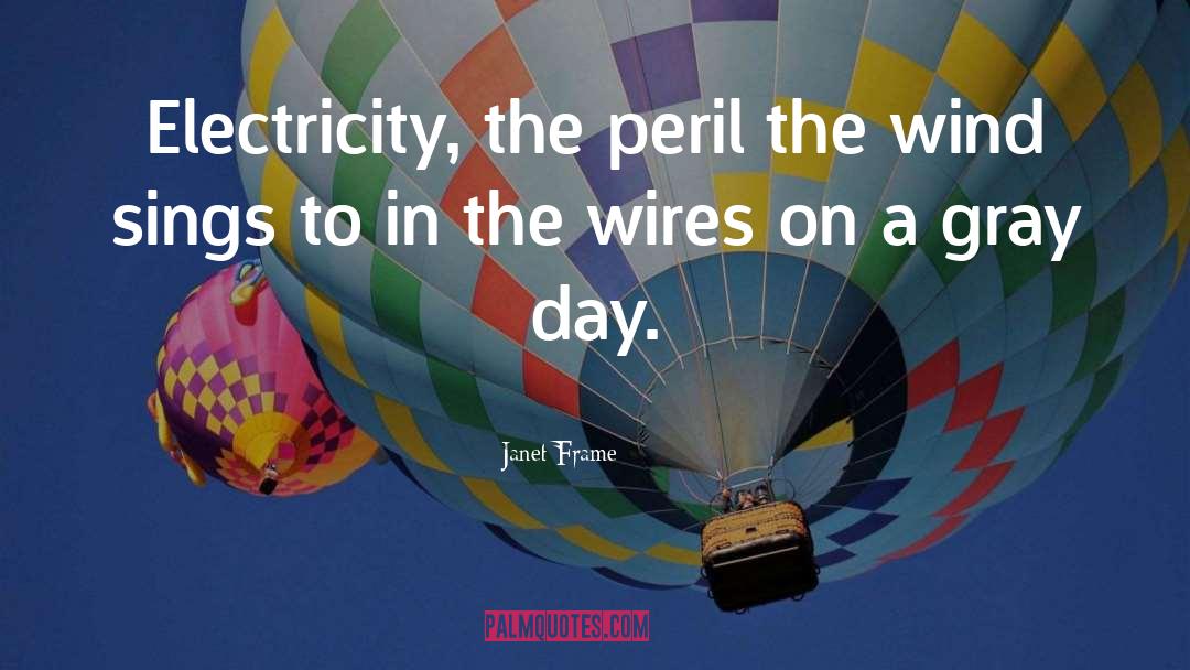 Janet Frame Quotes: Electricity, the peril the wind