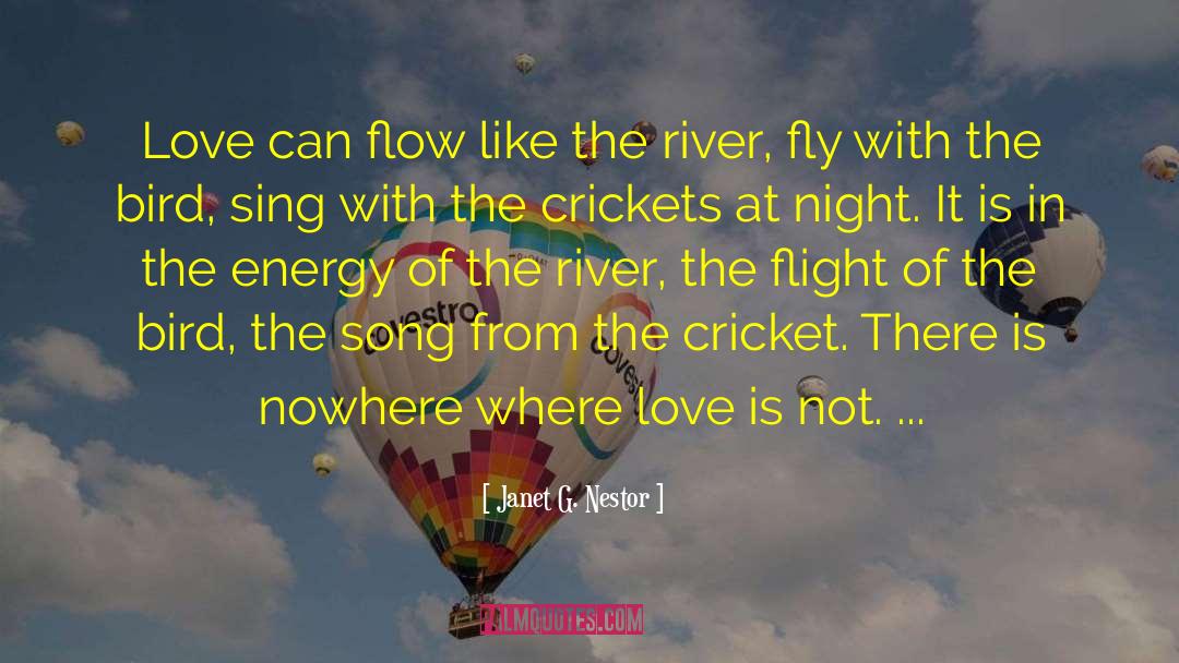 Janet G. Nestor Quotes: Love can flow like the