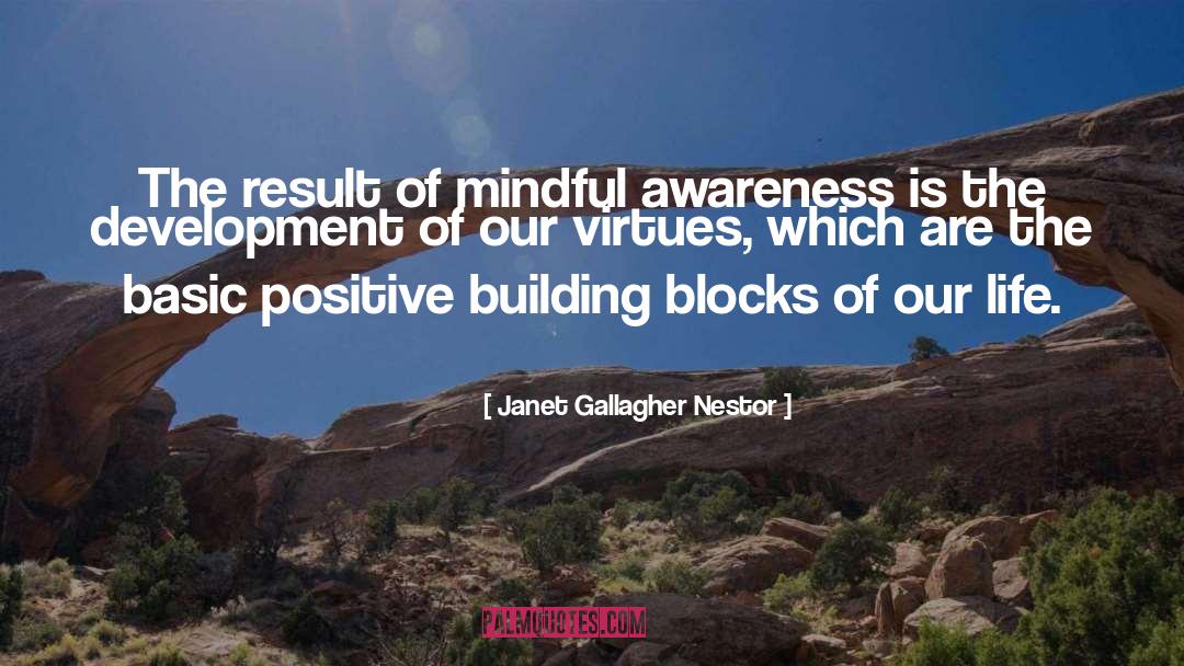 Janet Gallagher Nestor Quotes: The result of mindful awareness