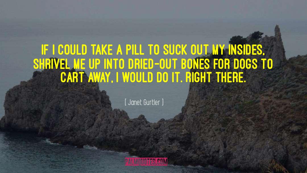 Janet Gurtler Quotes: If I could take a